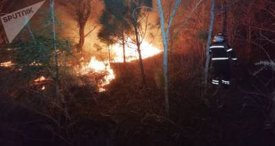 На западе Грузии новый очаг возгорания - горят болота