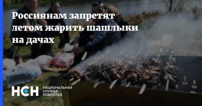 Россиянам запретят летом жарить шашлыки на дачах