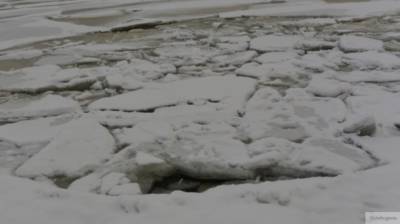 Четыре человека погибли в "ушедшем" под лед автомобиле в Казахстане