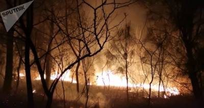 Крупный лесной пожар у села Кулеви в Западной Грузии - видео