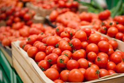 Россия запретила ввоз яблок и томатов из Азербайджана