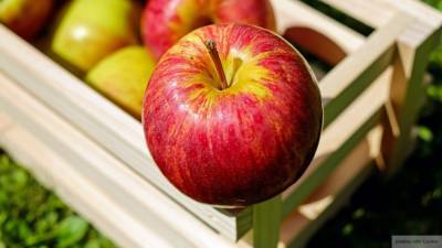 Ввоз в Россию томатов и яблок из Азербайджана запрещается с 10 декабря