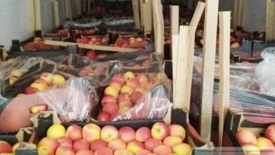 Россельхознадзор ввел эмбарго на яблоки и помидоры из Азербайджана