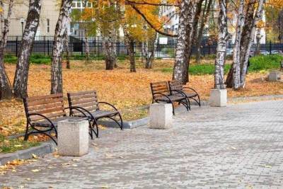 Улицы Рязани не убирают от пыли из-за морозной погоды