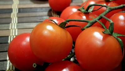 В Россию запретили ввозить азербайджанские томаты и яблоки