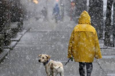 Погода на сегодня: На юге Украины прогнозируются дожди с мокрым снегом