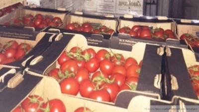 Запрет на помидоры и перцы из одного региона Армении ввели в России
