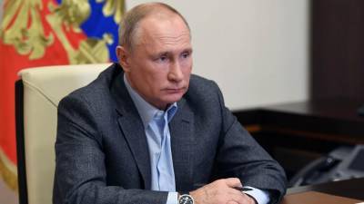 Путин отметил готовность РФ к работе с другими странами в борьбе с COVID-19