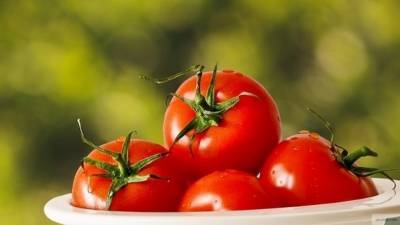 Россия запретит импорт томатов из Армавирской области Армении