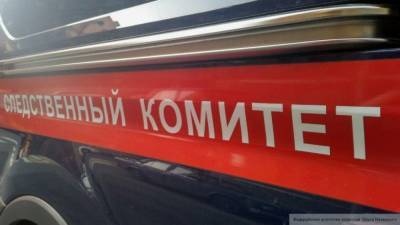 СК проверил рестораны Петербурга на соблюдение карантинных мер
