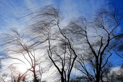 Похолодание и усиление ветра ожидаются в Забайкалье 10 декабря