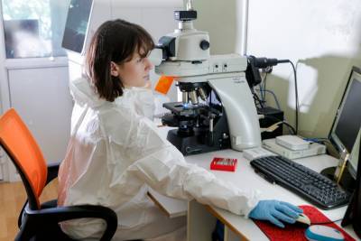 Ставропольские медики разработали препарат, подавляющий активность коронавируса