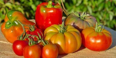 Россельхознадзор запретил ввоз томатов и перцев из Армении