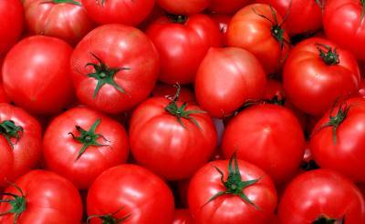 Россельхознадзор вводит запрет на поставки томатов и перца из Кашкадарьинской области