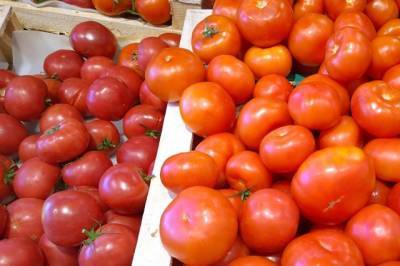 Россельхознадзор запретил импорт овощей из региона Узбекистана