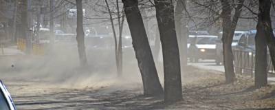 Власти Рязани объяснили, почему в городе «стоит столбом пыль»