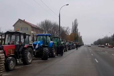 Молдавские фермеры приготовились «идти на Кишинев»
