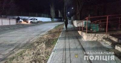 На Одесчине автомобилистка сбила трехлетнюю девочку