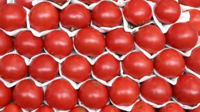 Эксперт прокомментировал запрет на поставки томатов и яблок из Азербайджана