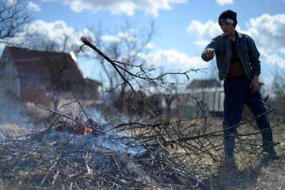 Россиянам запретят сжигать мусор и разводить костры на участках