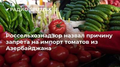 Россельхознадзор назвал причину запрета на импорт томатов из Азербайджана