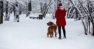 Синоптики рассказали о погоде в Москве на Новый год