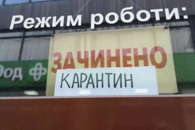 София Кошкина - В Украине планируют трехнедельный локдаун с 8 января: к каким ограничениям стоит готовиться - vchaspik.ua