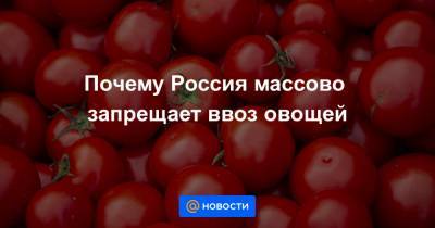Почему Россия массово запрещает ввоз овощей