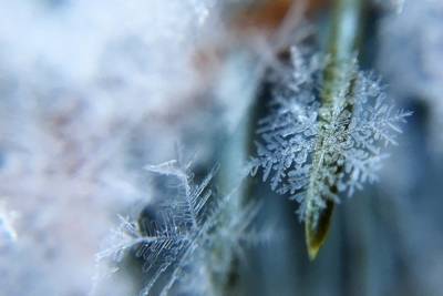 До -12 градусов опустится температура в Псковской области 10 декабря