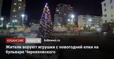 Жители воруют игрушки с новогодней елки на бульваре Черняховского