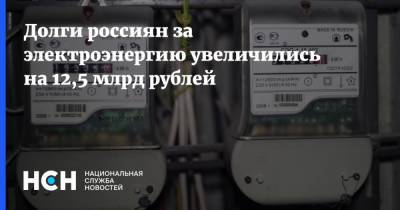 Долги россиян за электроэнергию увеличились на 12,5 млрд рублей