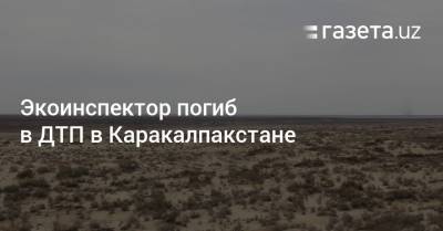 Экоинспектор погиб в ДТП в Каракалпакстане