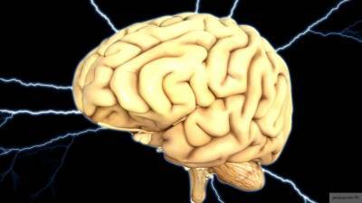 Ученые сообщили о последствиях проникновения COVID-19 в мозг