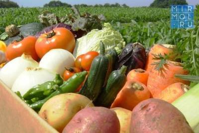 В Дагестане представлены данные об изменении цен на продукты питания