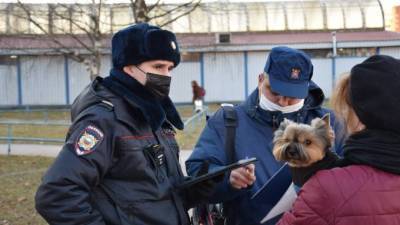 Владельцев собак Кировского района проверили на соблюдение законодательства