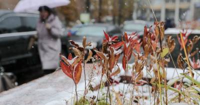 Мокрый снег, дождь и гололед на дорогах: прогноз погоды в Украине на четверг, 10 декабря