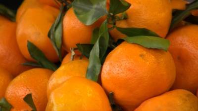 Самый новогодний фрукт: как выбрать мандарины