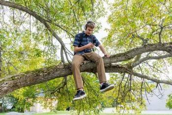 Россияне ловят «сигнал дистанционного обучения» сидя на деревьях