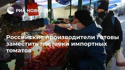 Российские производители готовы заместить поставки импортных томатов