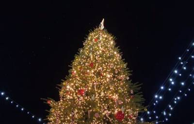 Рождество, Пасха, Троица: перенос праздников и выходных, календарь праздников на 2021 год