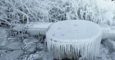 Красота невероятная: под Днепром природа наделала шедевров изо льда (фото)