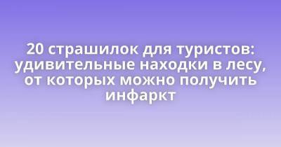 20 страшилок для туристов: удивительные находки в лесу, от которых можно получить инфаркт