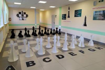 Петербургские заключенные вырезали гигантские шахматы для Красноборской школы
