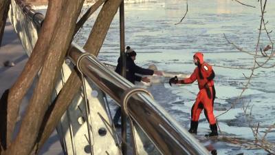 Спасатели освободили вмерзшую в лед утку на Химкинском водохранилище.
