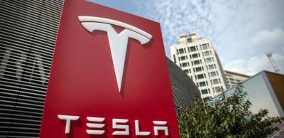 Строительство завода Tesla в Германии остановили из-за змей