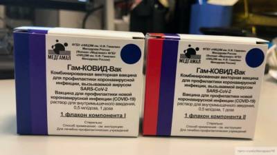 РФПИ опровергли сведения об отказе Турции закупать вакцину от COVID-19 в РФ