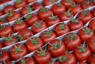 Москва обсудила поставку томатов с Ереваном и Баку