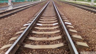 Следователи проверяют факт хищения железнодорожных рельсов в Ленобласти