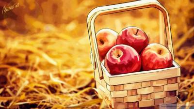 Цены на яблоки не поднимутся в России на фоне запрета импорта из Азербайджана