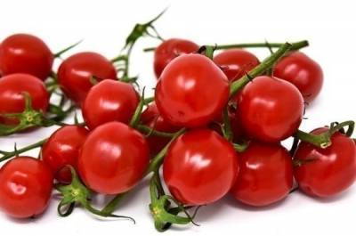 Эксперт оценил, как запрет на импорт томатов в Россию повлияет на цены